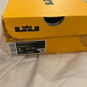 LeBron Witness VII pink/aqua/peach